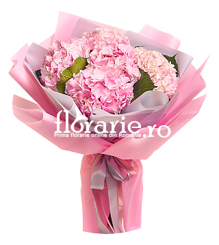 Buchet 5 hortensii roz