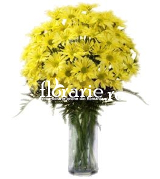 Crizanteme galbene