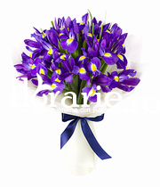 Bouquet of 19 purple irises