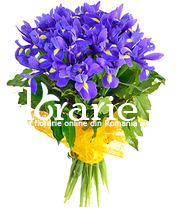Buchet iris